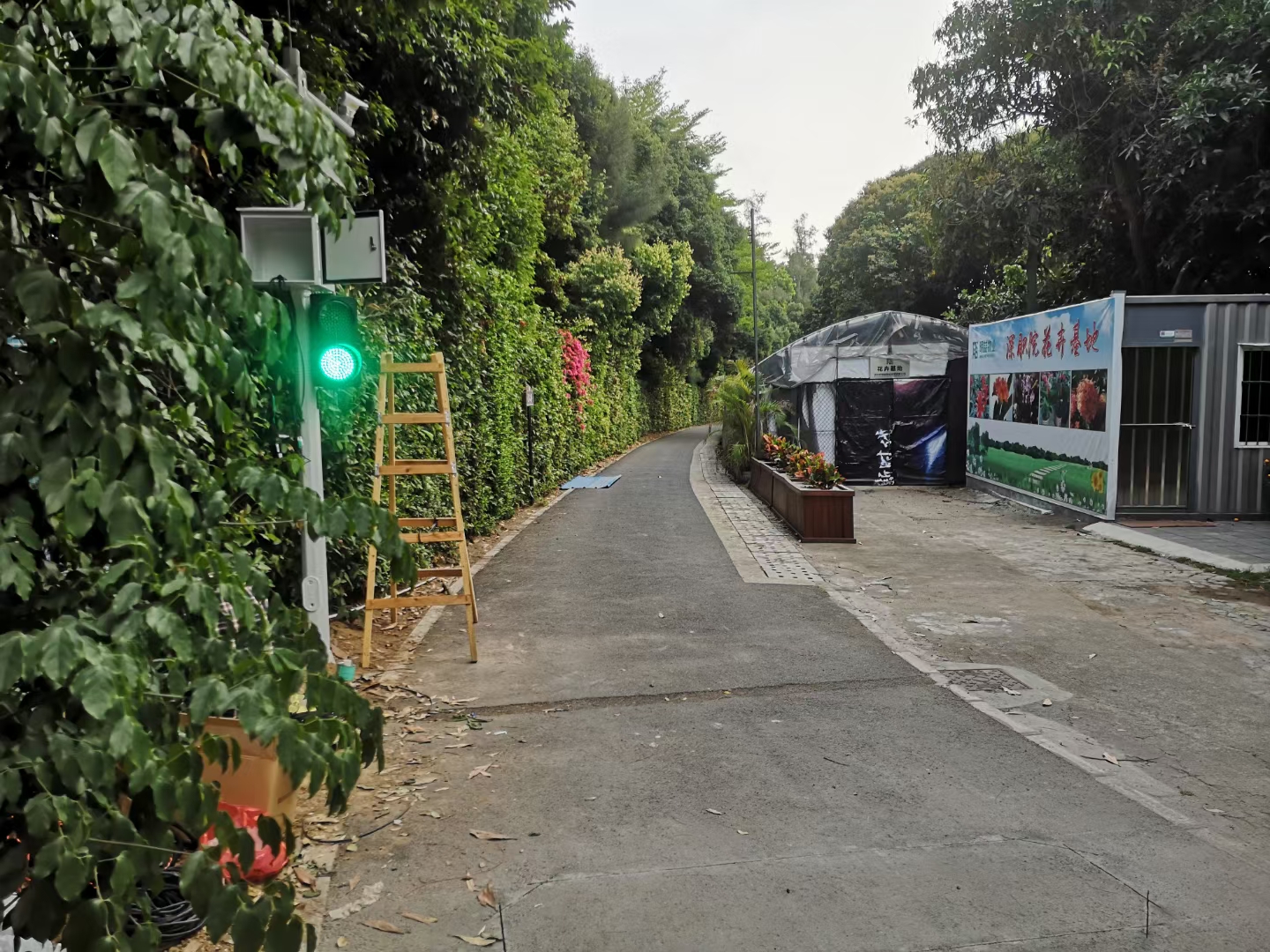 689ab4b774c37.jpg mmexport1642988506715.jpg